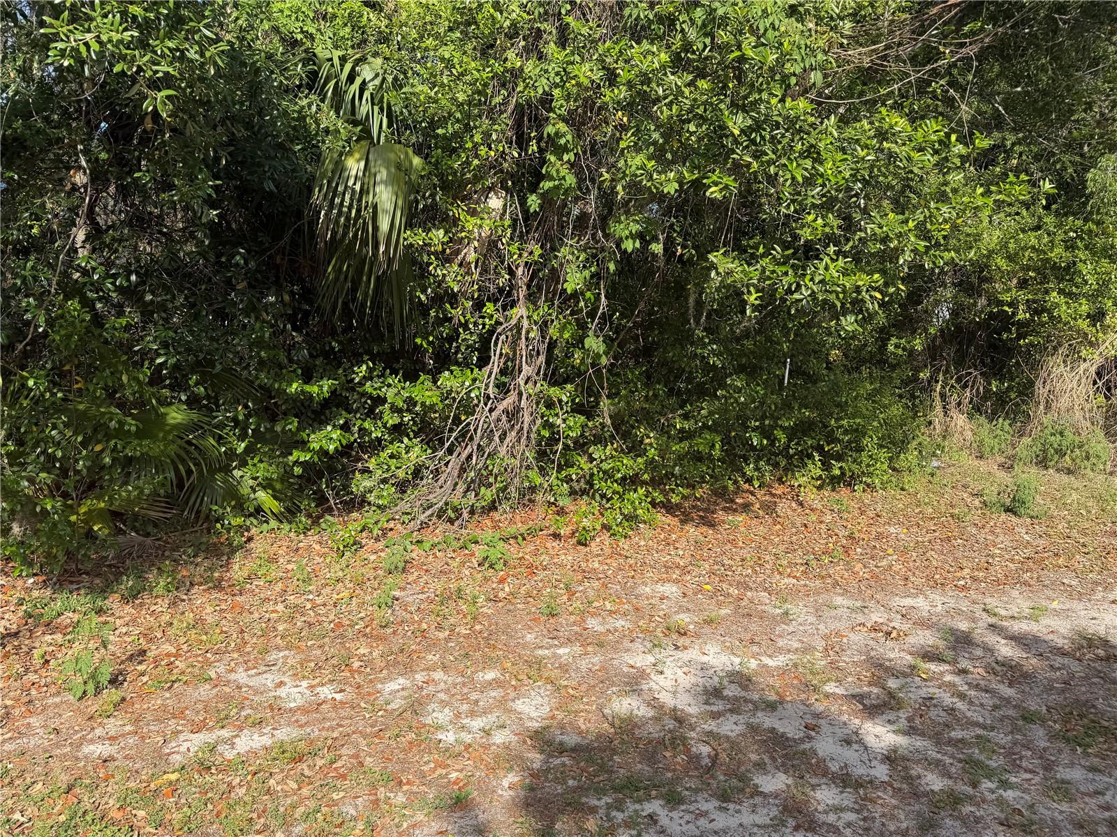 246 LAGO VISTA ST, DEBARY, FL, 32713