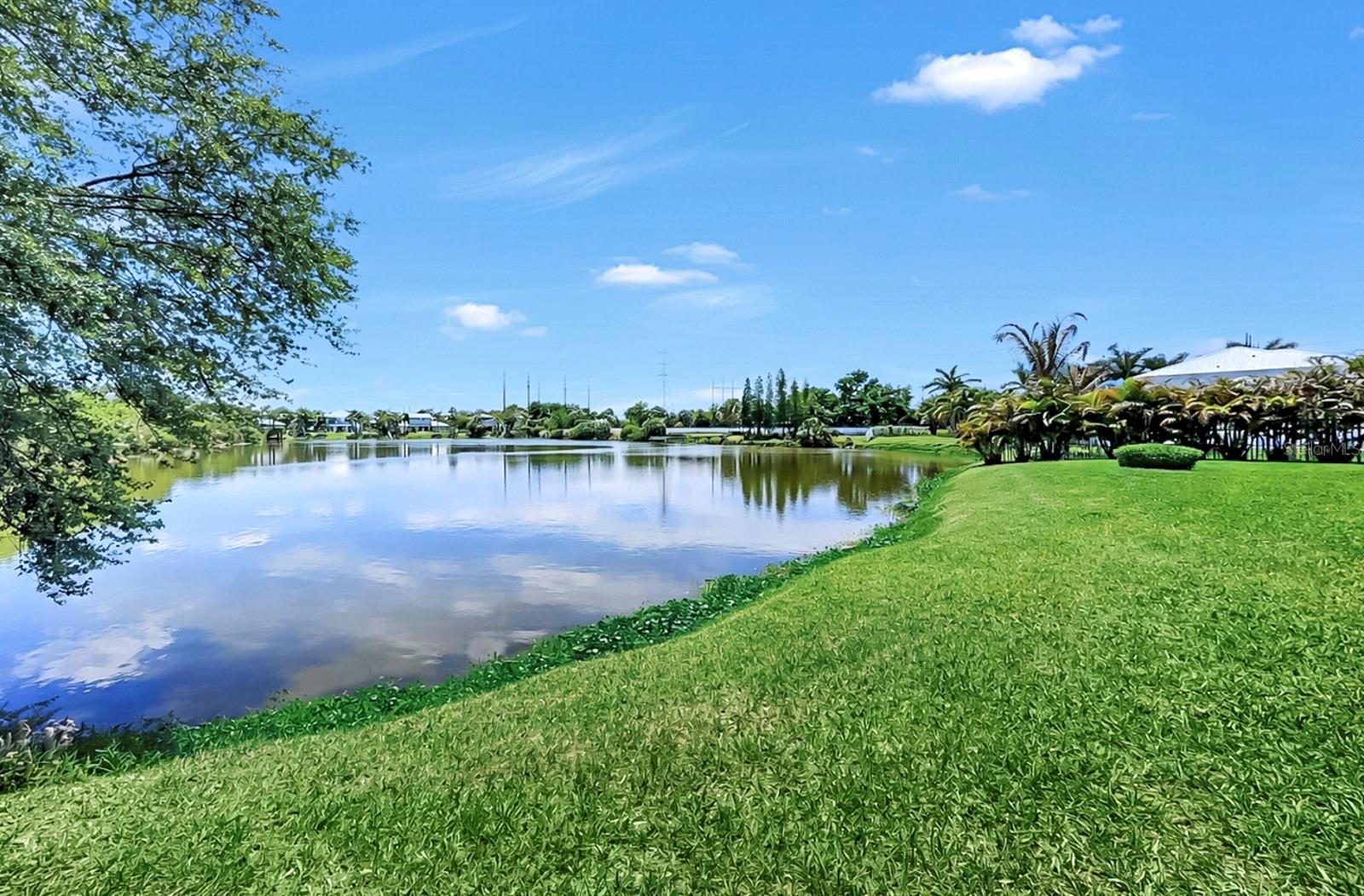 8013 KEY WEST CONCH DR, RIVERVIEW, FL, 33578