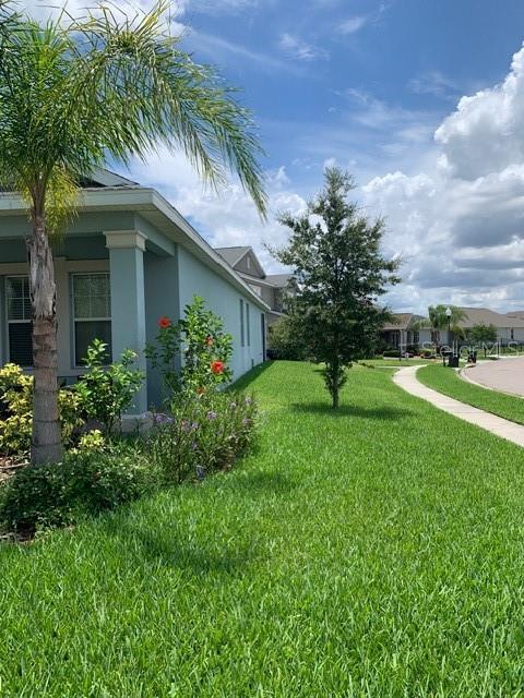 14072 GOLD BRIDGE DR, ORLANDO, FL, 32824