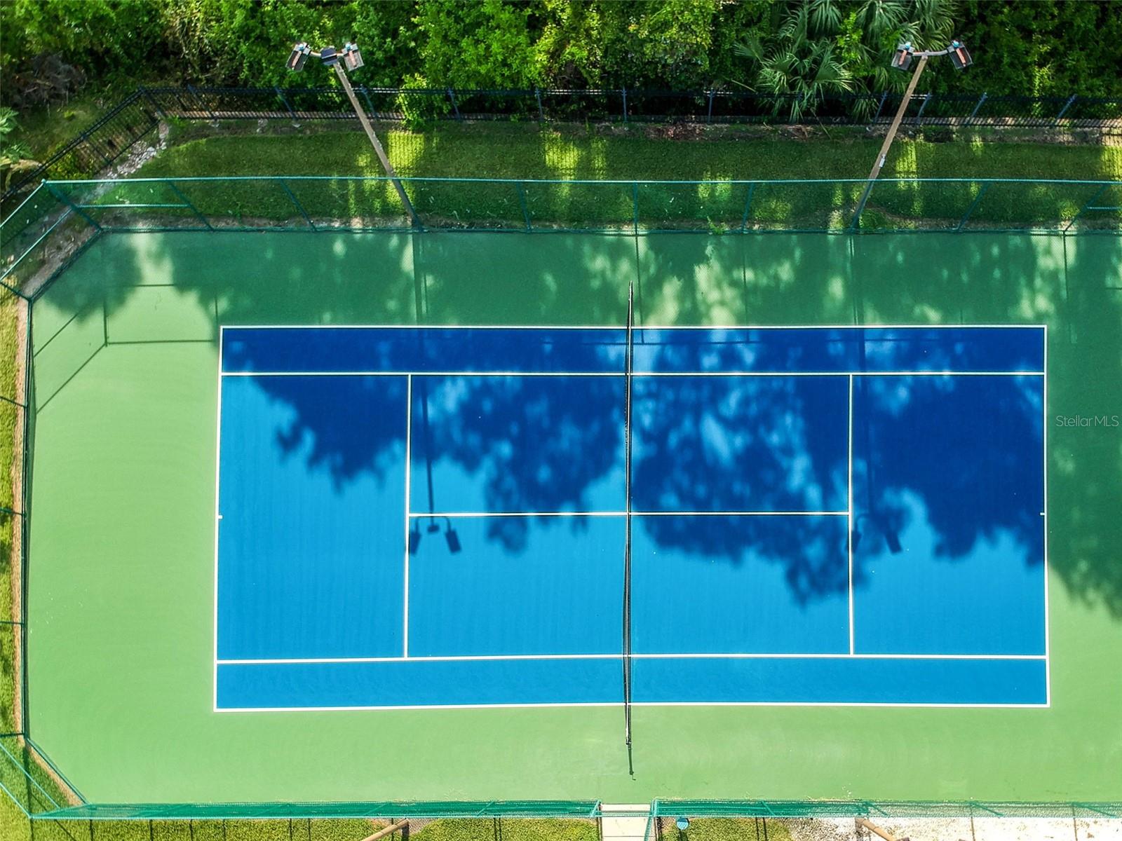 1250 SALT CLAY CT, WESLEY CHAPEL, FL, 33544