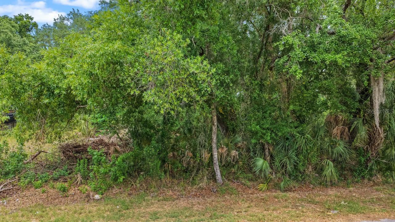 704 1ST AVE NE, RUSKIN, FL, 33570