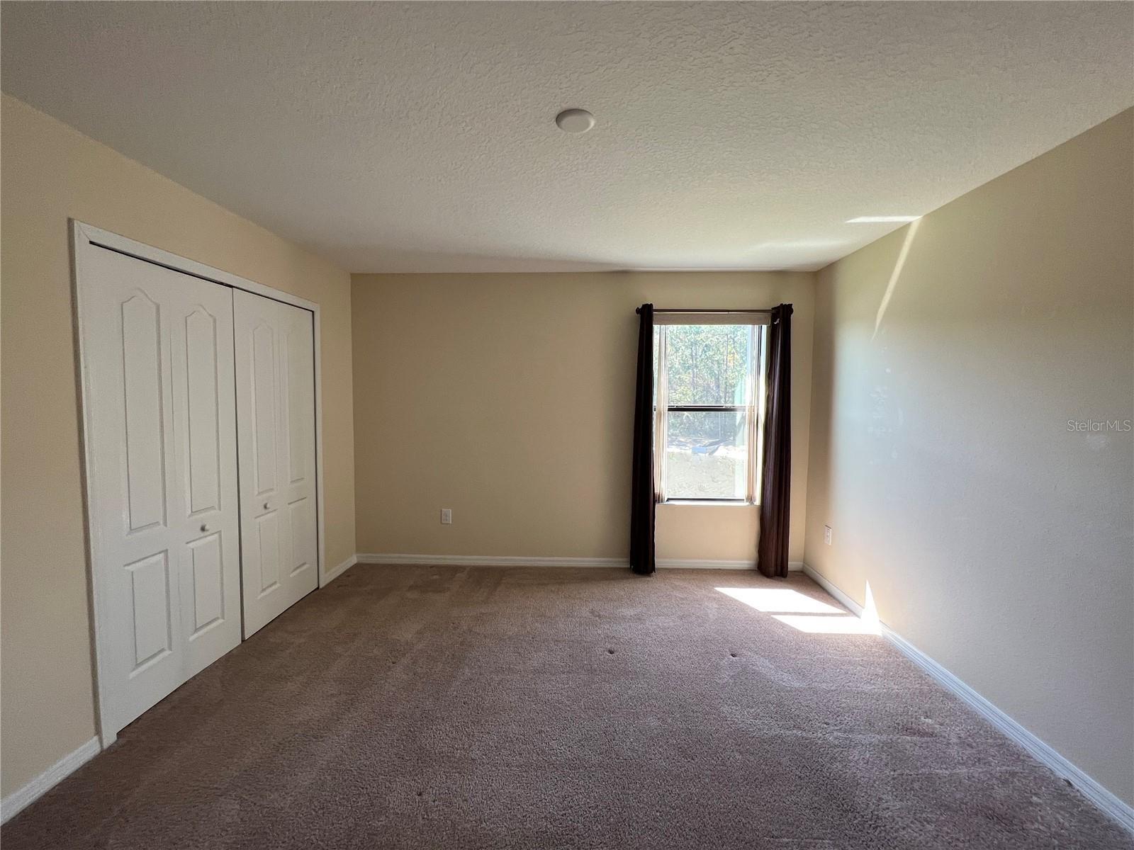 20010 DATE PALM WAY, TAMPA, FL, 33647