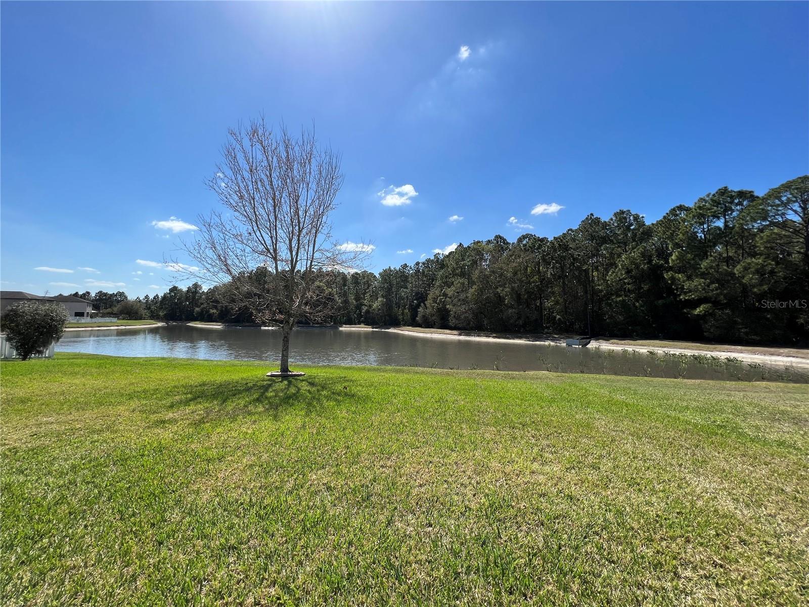 20010 DATE PALM WAY, TAMPA, FL, 33647