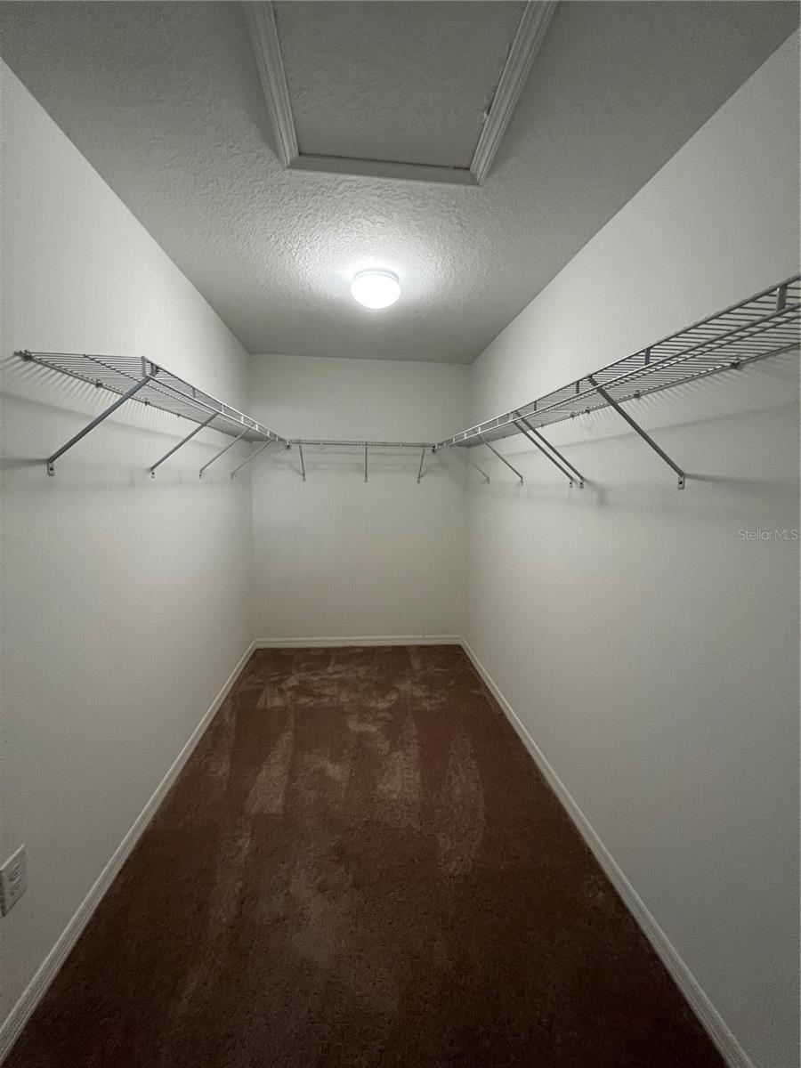 20010 DATE PALM WAY, TAMPA, FL, 33647