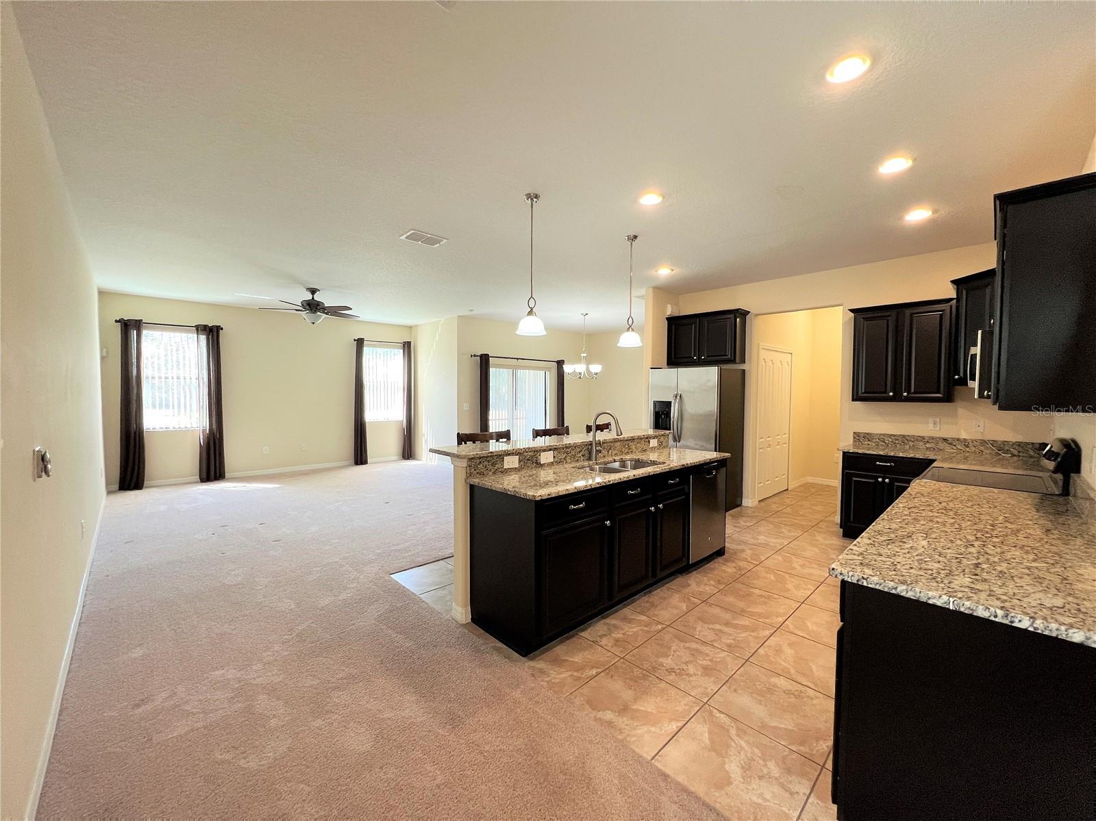 20010 DATE PALM WAY, TAMPA, FL, 33647