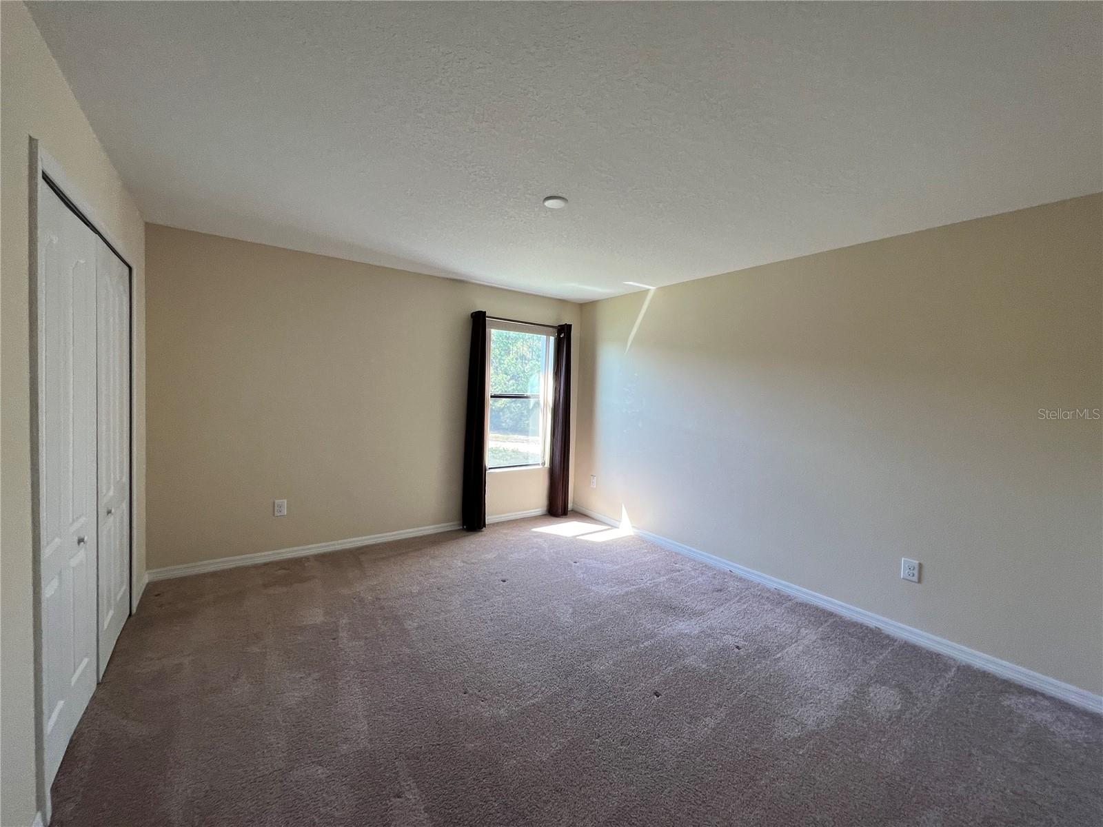 20010 DATE PALM WAY, TAMPA, FL, 33647