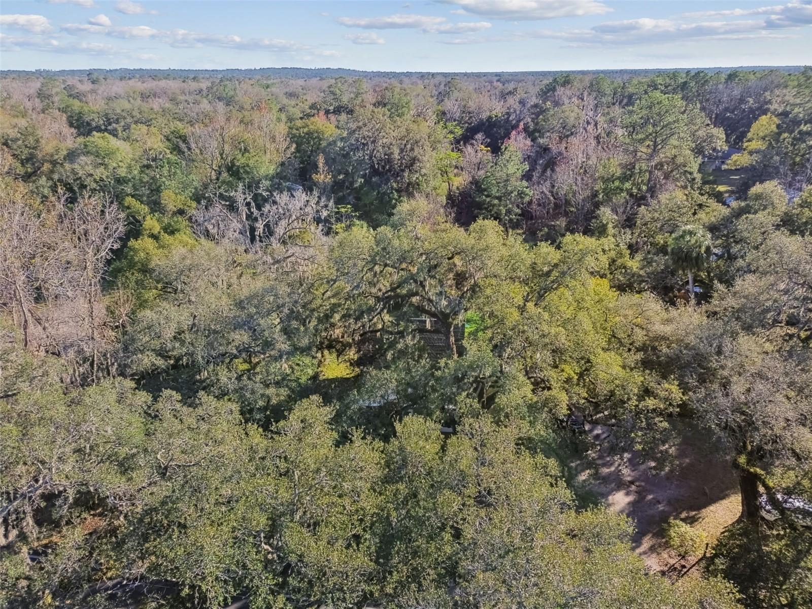 19222 FORT DADE AVE, BROOKSVILLE, FL, 34601