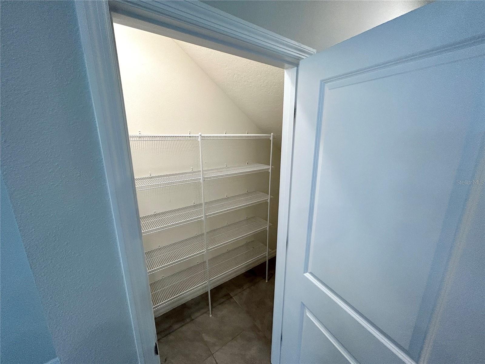 2946 SUNCOAST PLAINS DR, ODESSA, FL, 33556