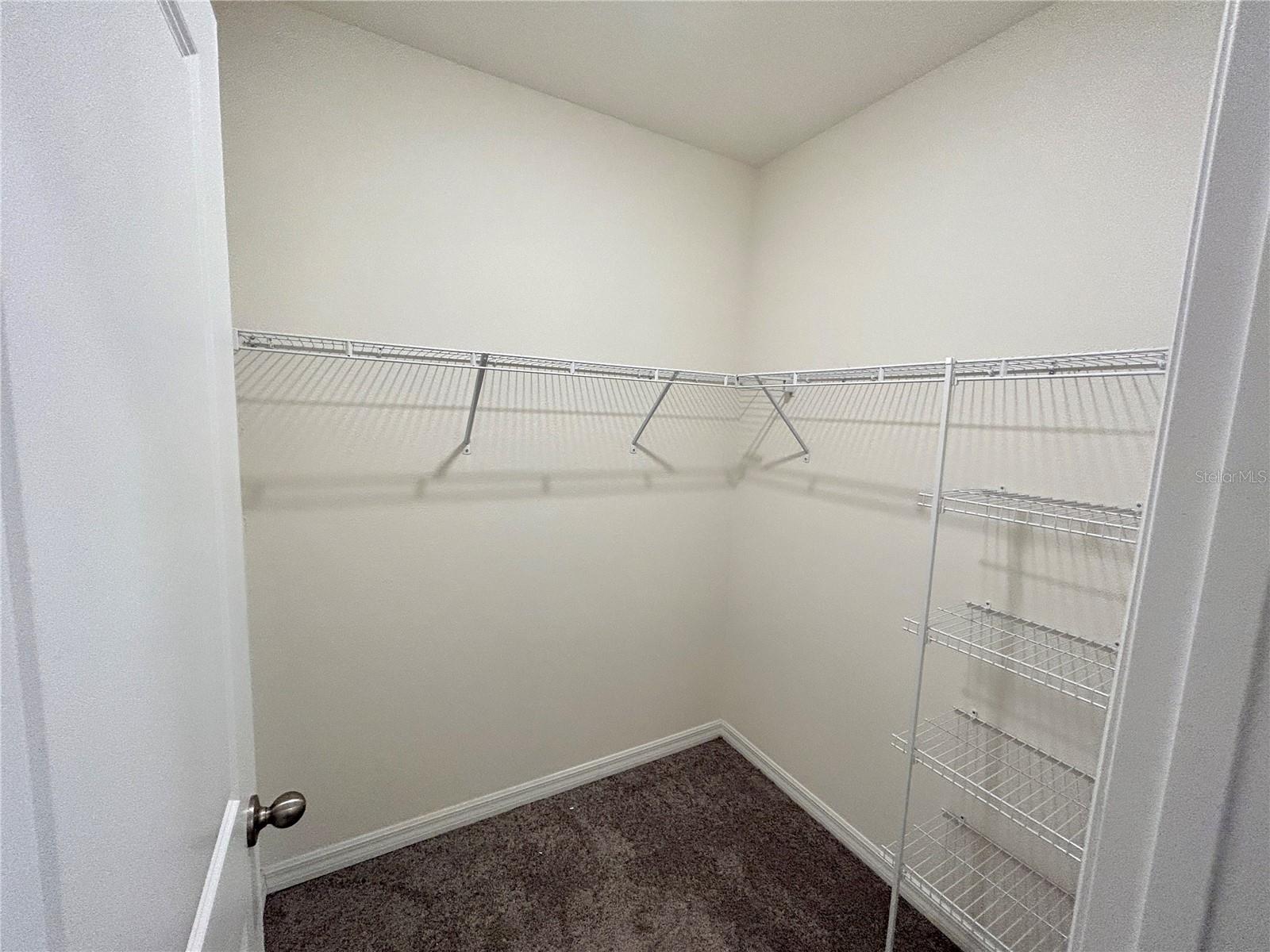 2946 SUNCOAST PLAINS DR, ODESSA, FL, 33556