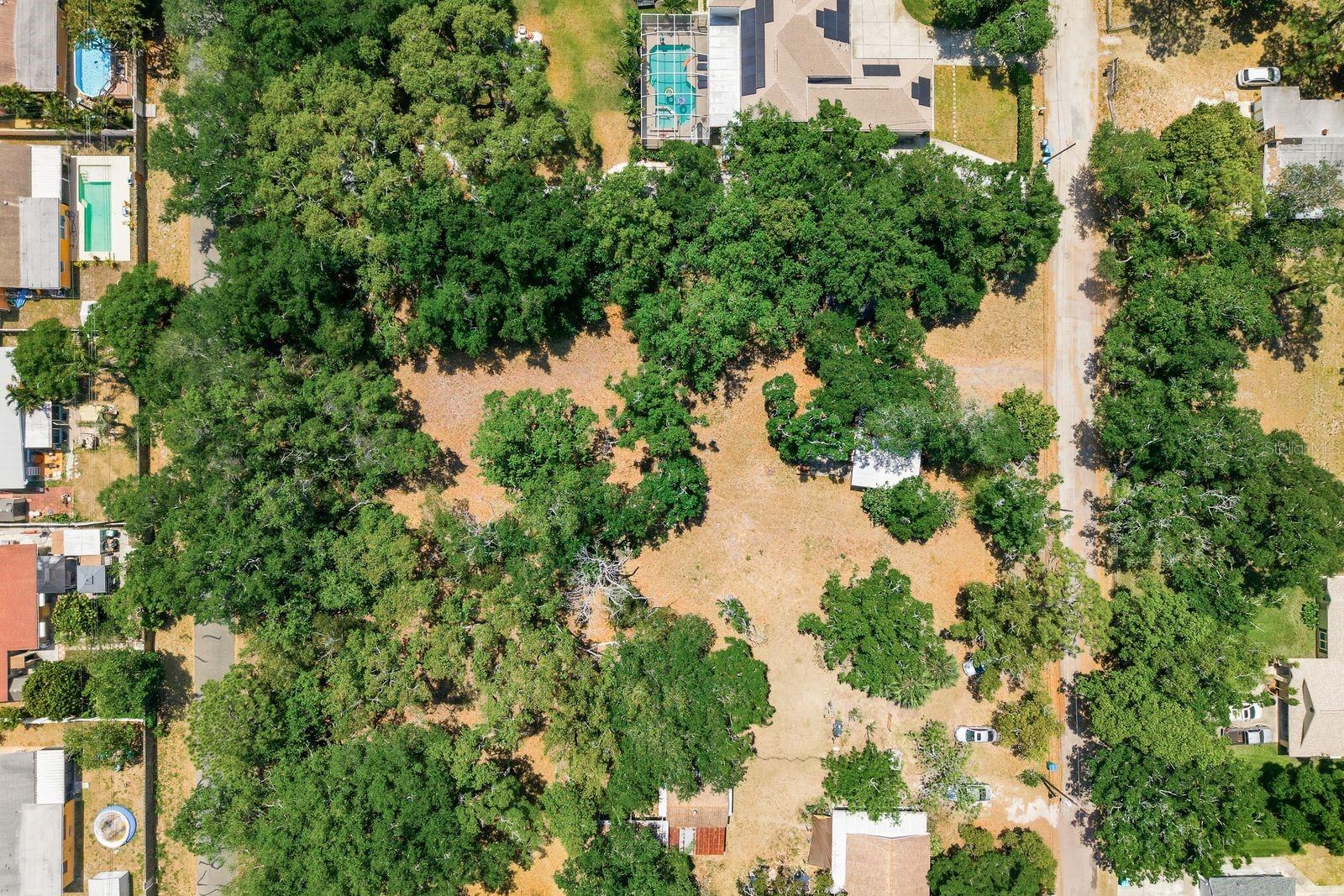 11405 OAK LN, LARGO, FL, 33778