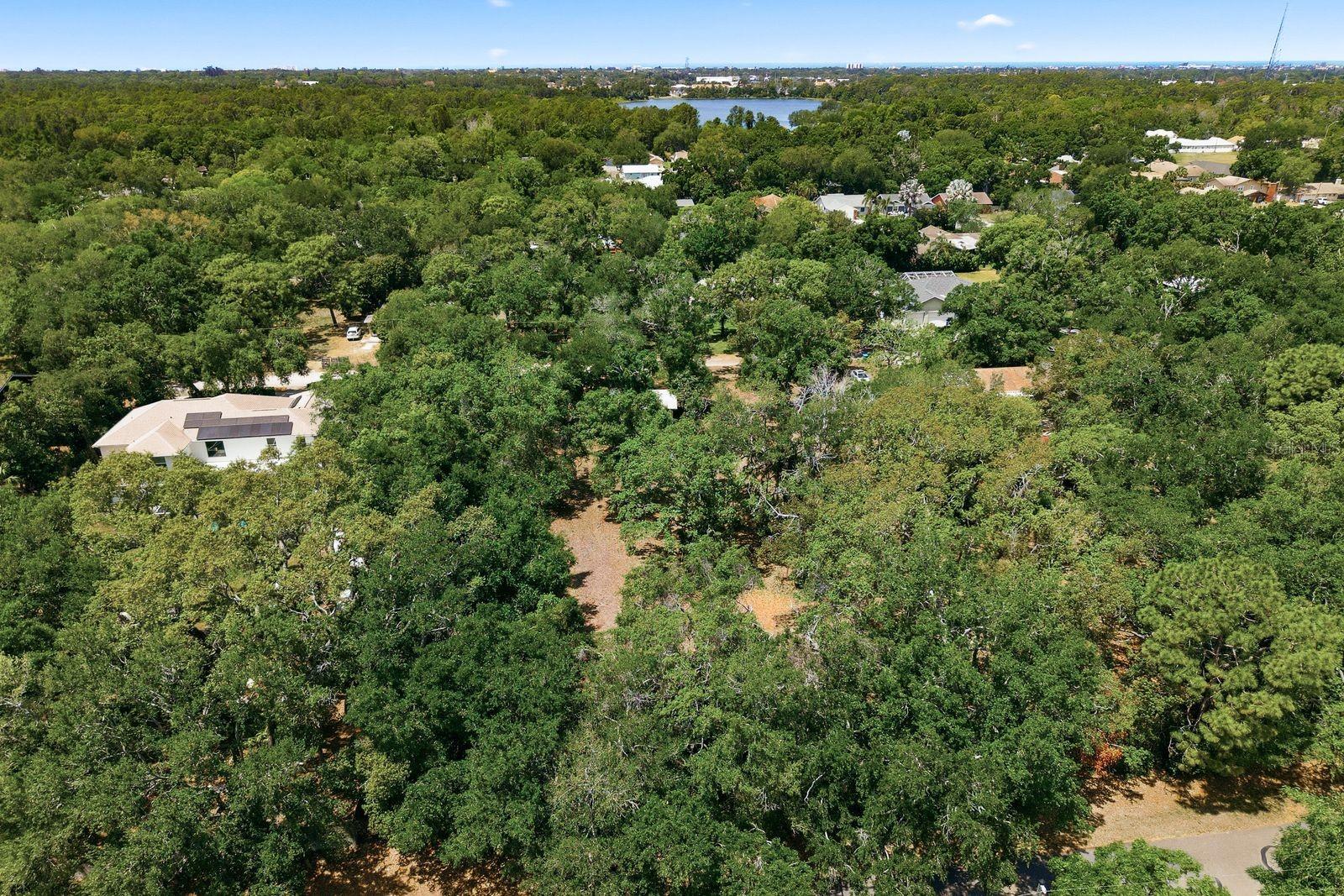 11405 OAK LN, LARGO, FL, 33778