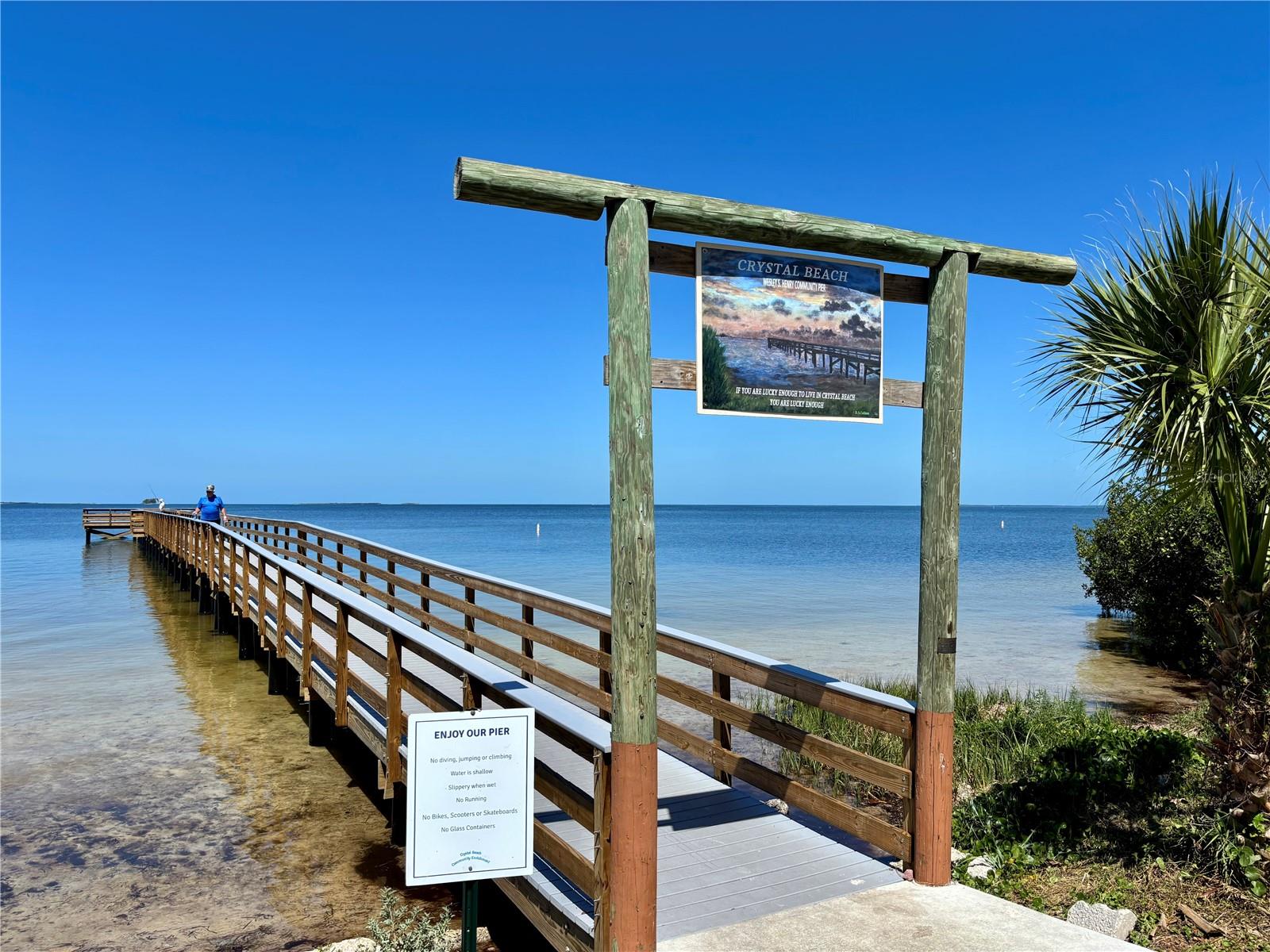 317 CRYSTAL BEACH AVE, CRYSTAL BEACH, FL, 34681