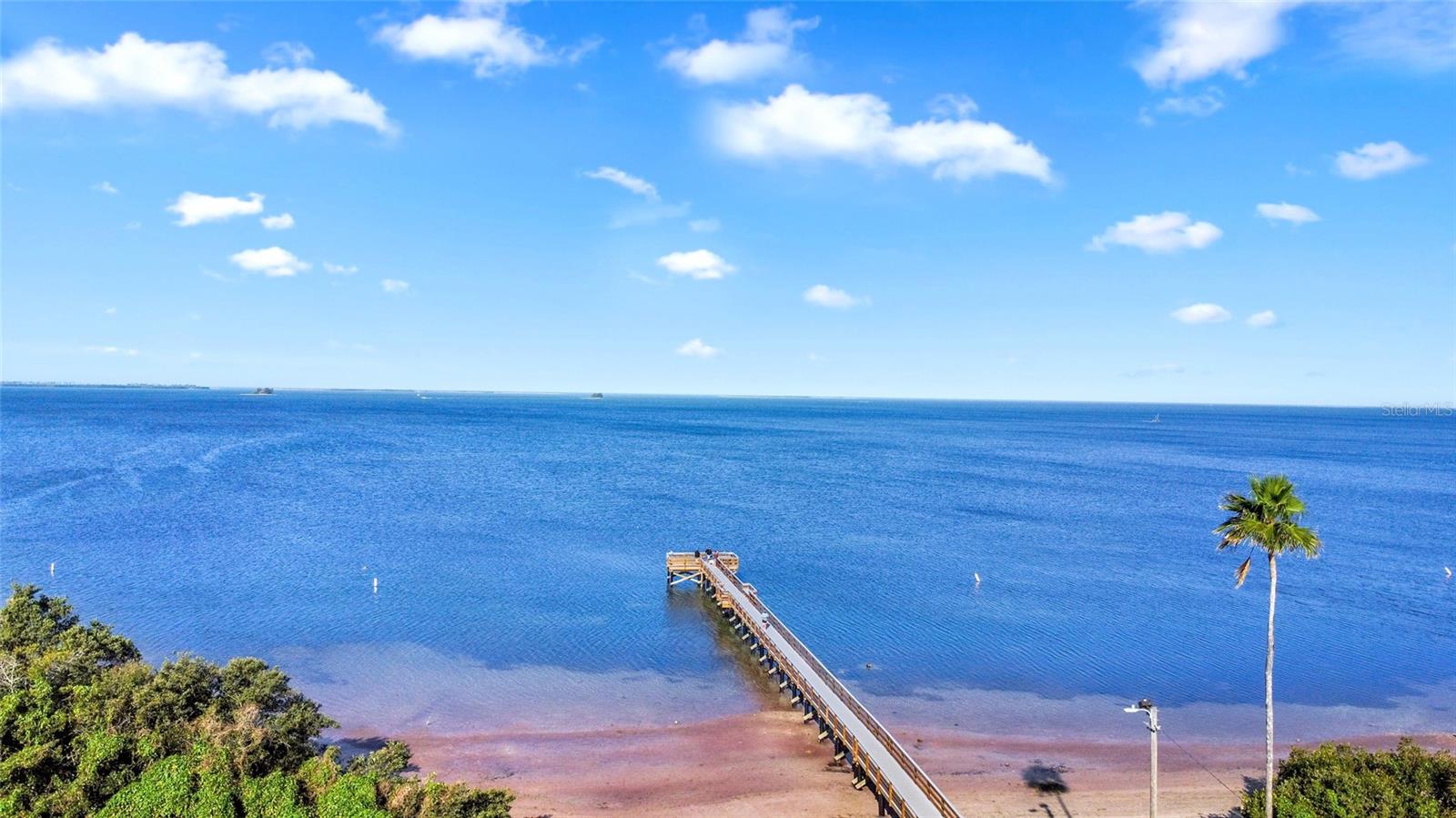 317 CRYSTAL BEACH AVE, CRYSTAL BEACH, FL, 34681