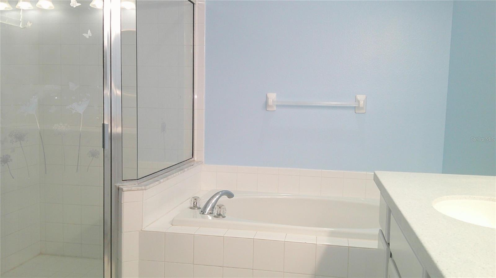 8512 CANTERBURY LAKE BLVD, TAMPA, FL, 33619