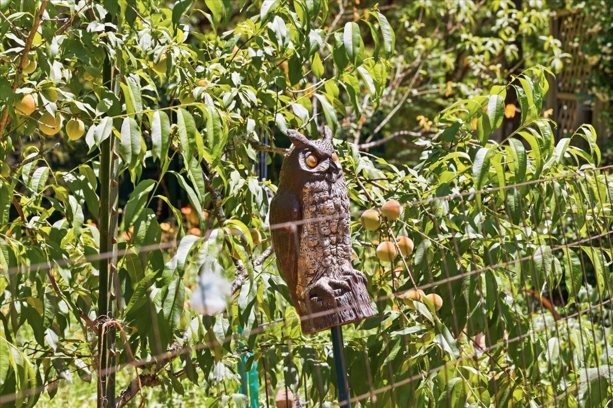 8386 AUSTIN RD, MELROSE, FL, 32666