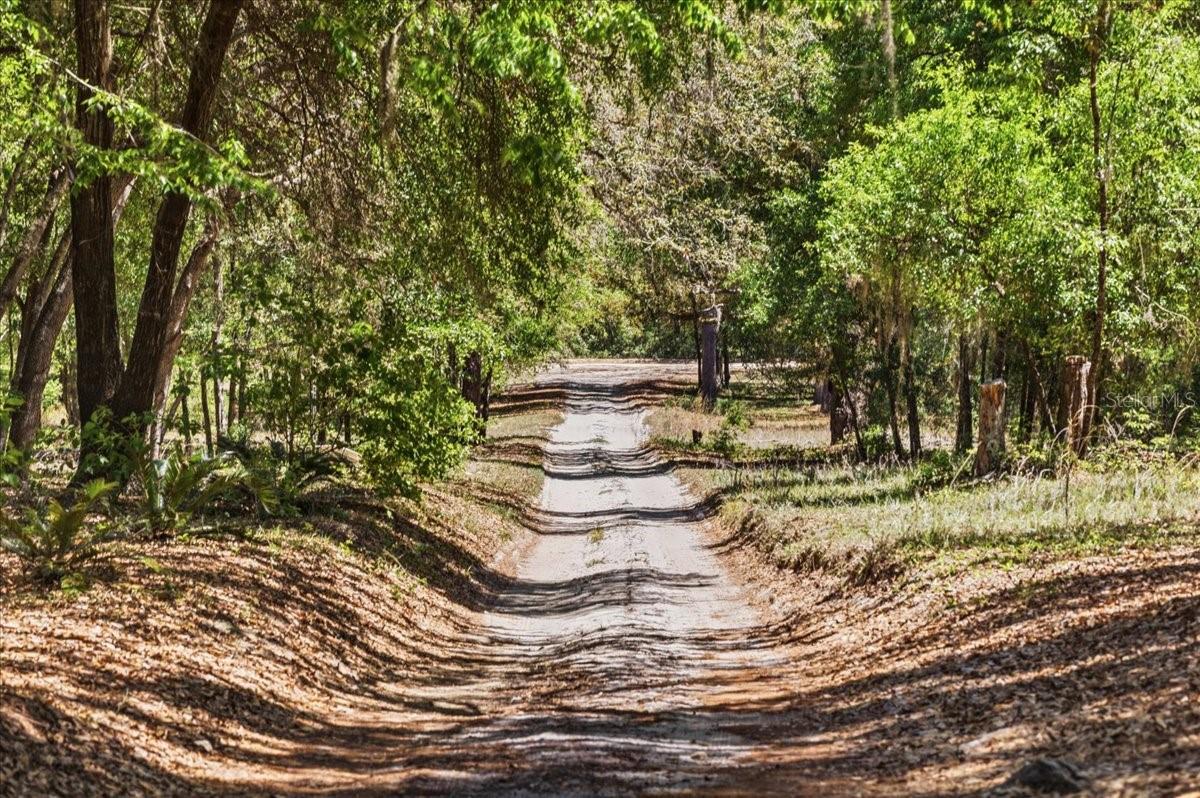 8386 AUSTIN RD, MELROSE, FL, 32666