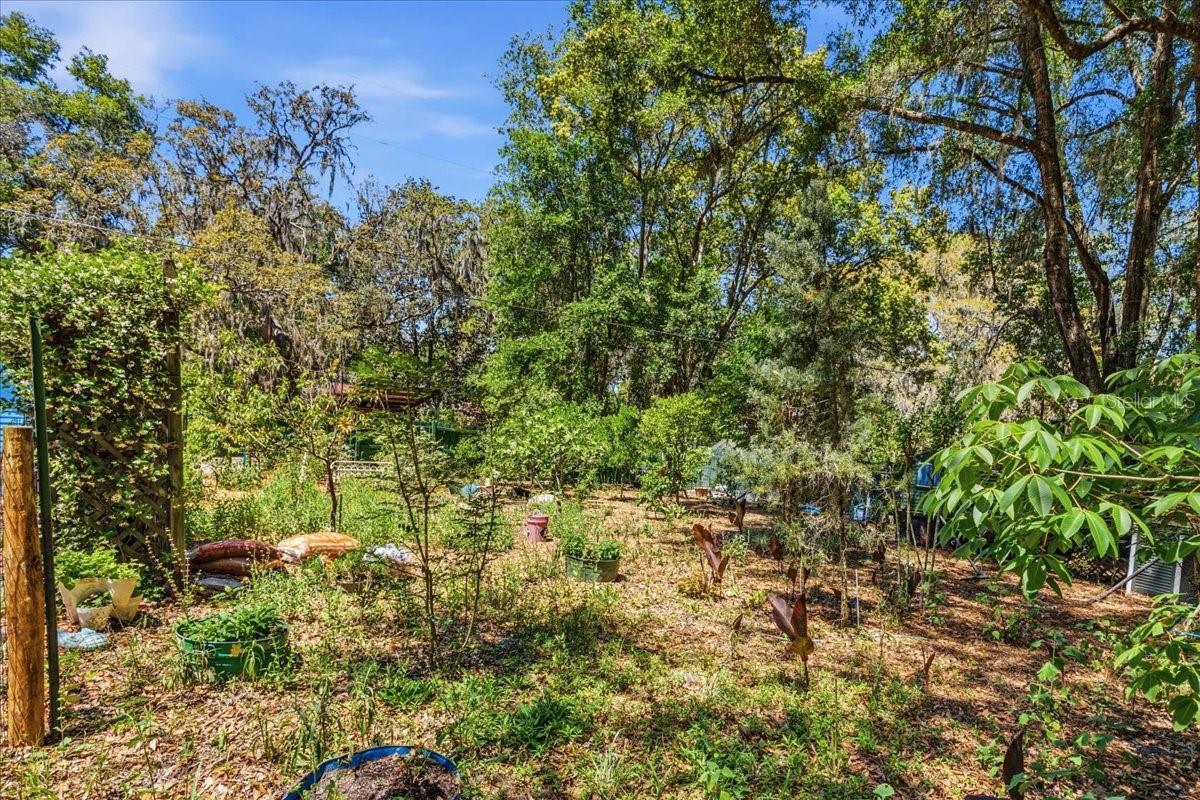 8386 AUSTIN RD, MELROSE, FL, 32666