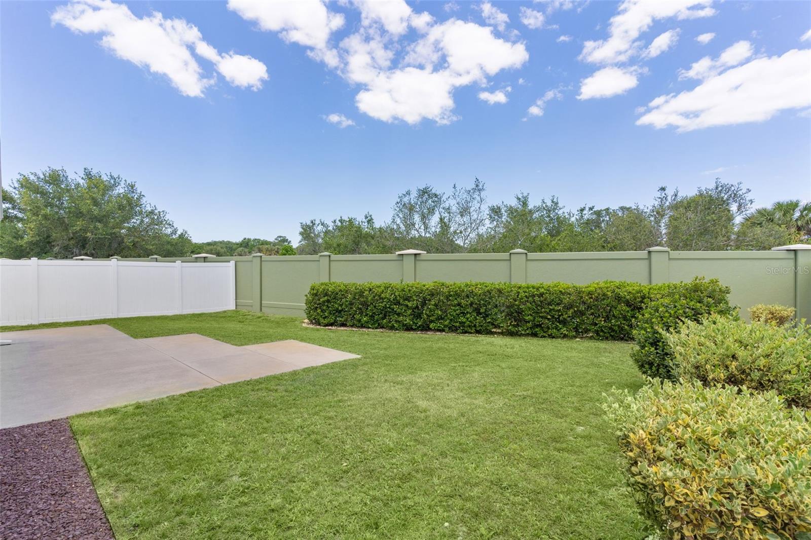 2877 CHARLEVOIX ST, THE VILLAGES, FL, 32163