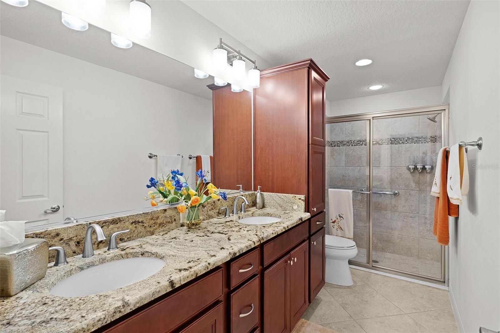 2877 CHARLEVOIX ST, THE VILLAGES, FL, 32163