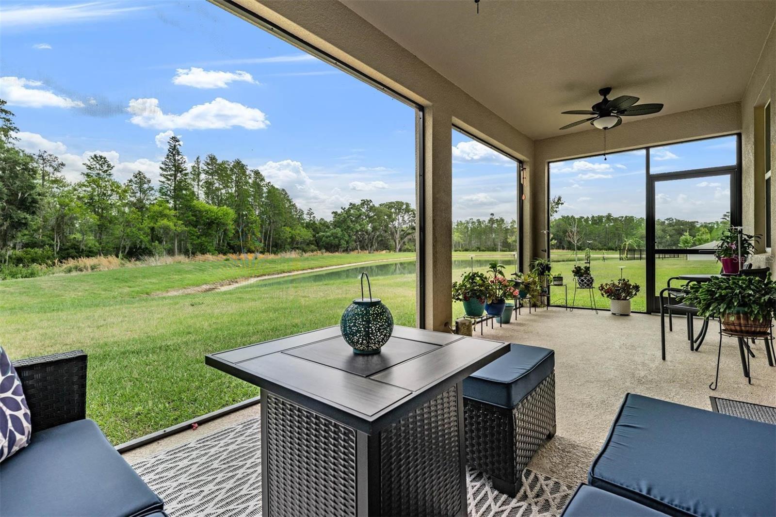 6862 BROAD RIVER AVE, LAND O LAKES, FL, 34638