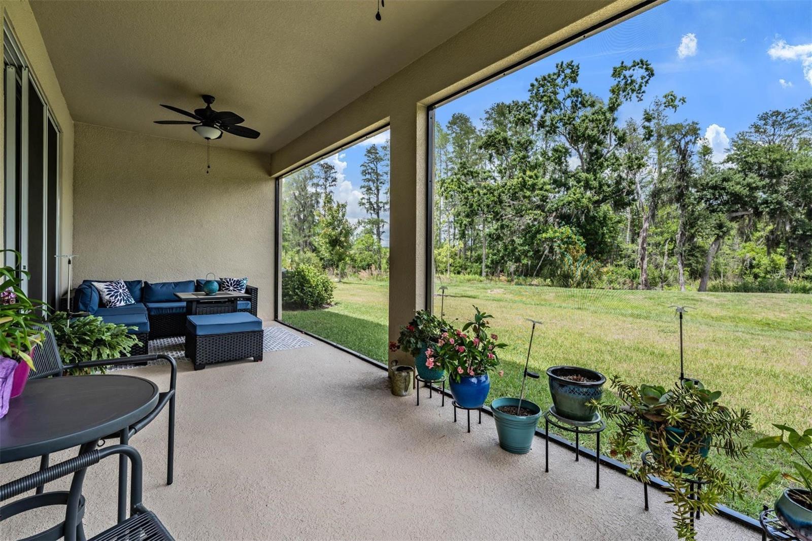 6862 BROAD RIVER AVE, LAND O LAKES, FL, 34638