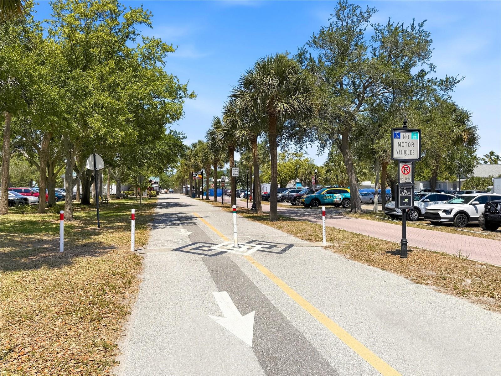 264 SEAGATE CT, DUNEDIN, FL, 34698