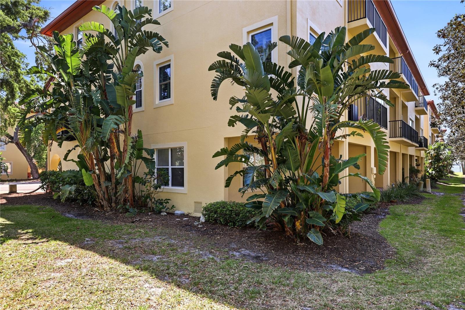264 SEAGATE CT, DUNEDIN, FL, 34698