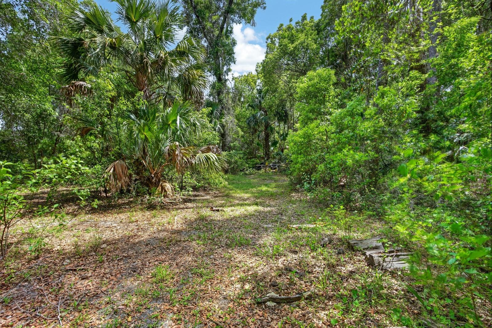 1806 GLENWOOD OAKS LN, DELAND, FL, 32720