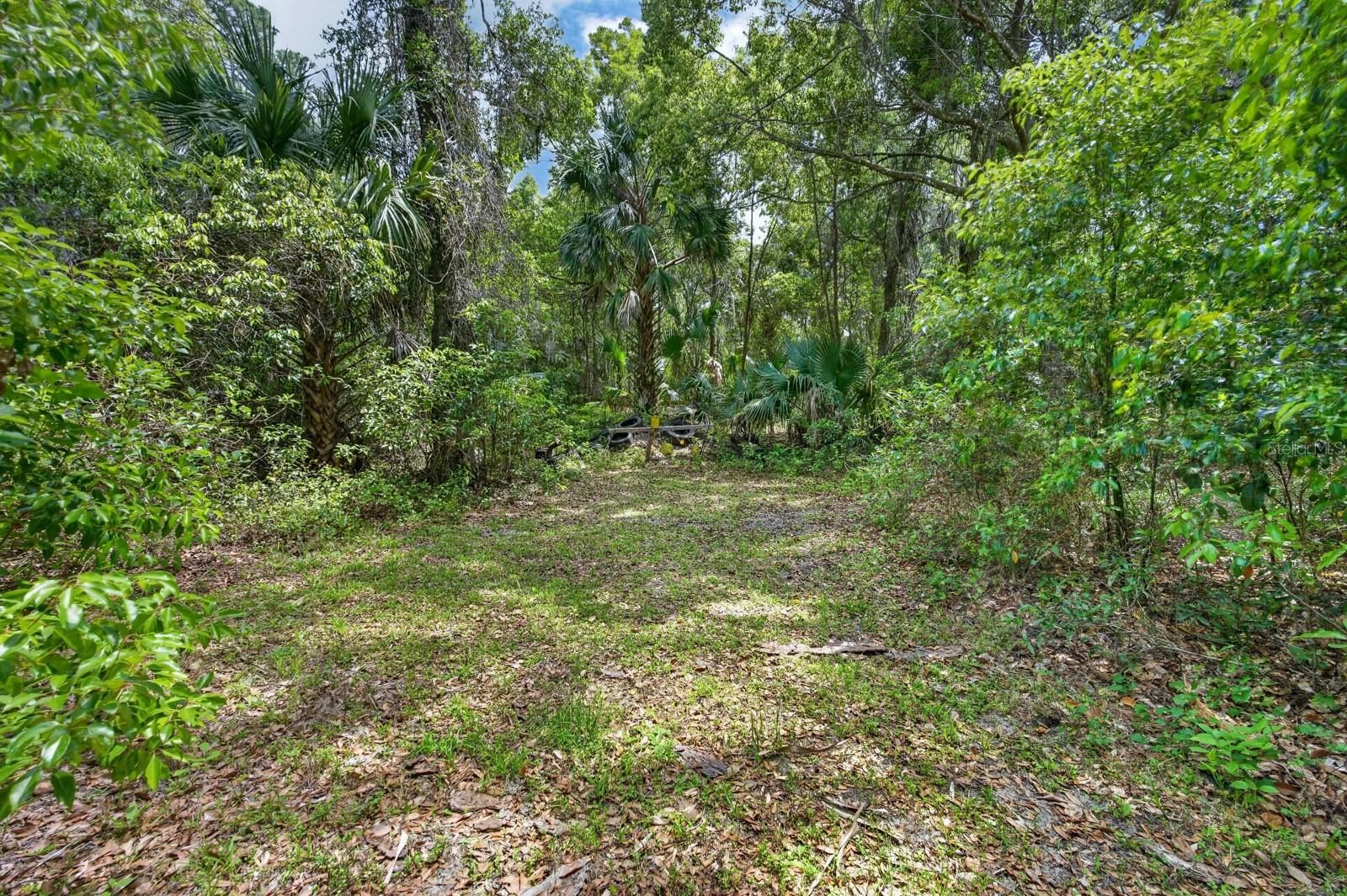 1806 GLENWOOD OAKS LN, DELAND, FL, 32720