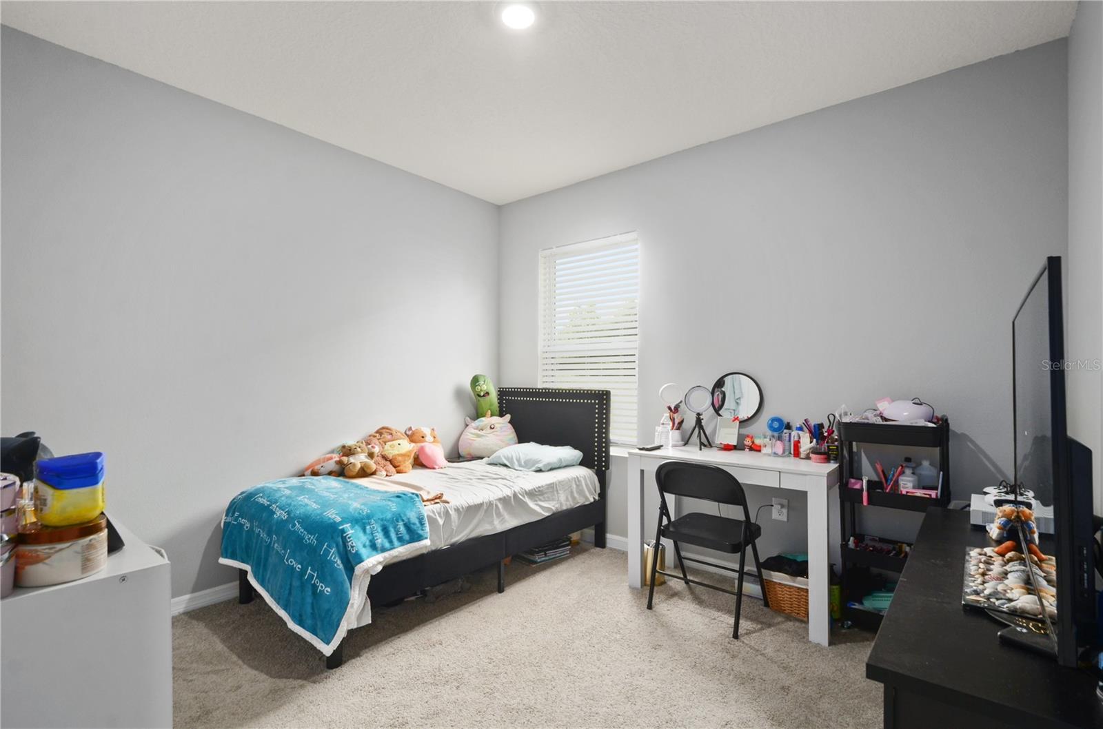 3235 BLUE CRAB DR, TAVARES, FL, 32778