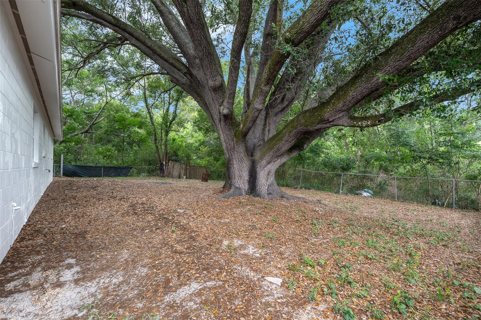 7933 ARABIAN PL, ORLANDO, FL, 32818