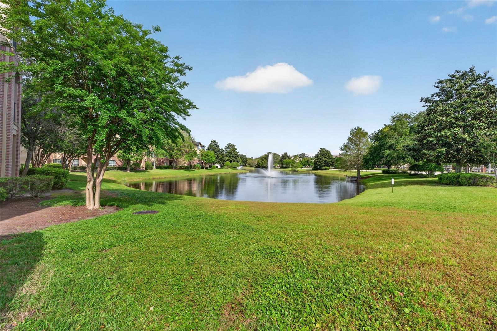 7800 POINT MEADOWS DR #1338, JACKSONVILLE, FL, 32256