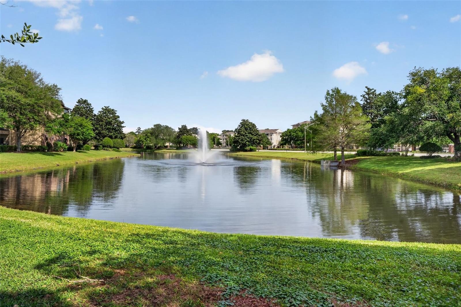 7800 POINT MEADOWS DR #1338, JACKSONVILLE, FL, 32256