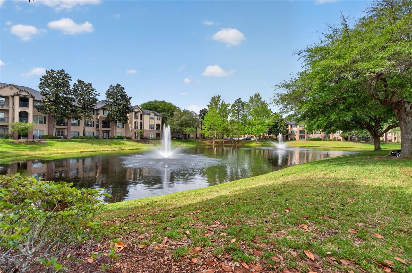 7800 POINT MEADOWS DR #1338, JACKSONVILLE, FL, 32256