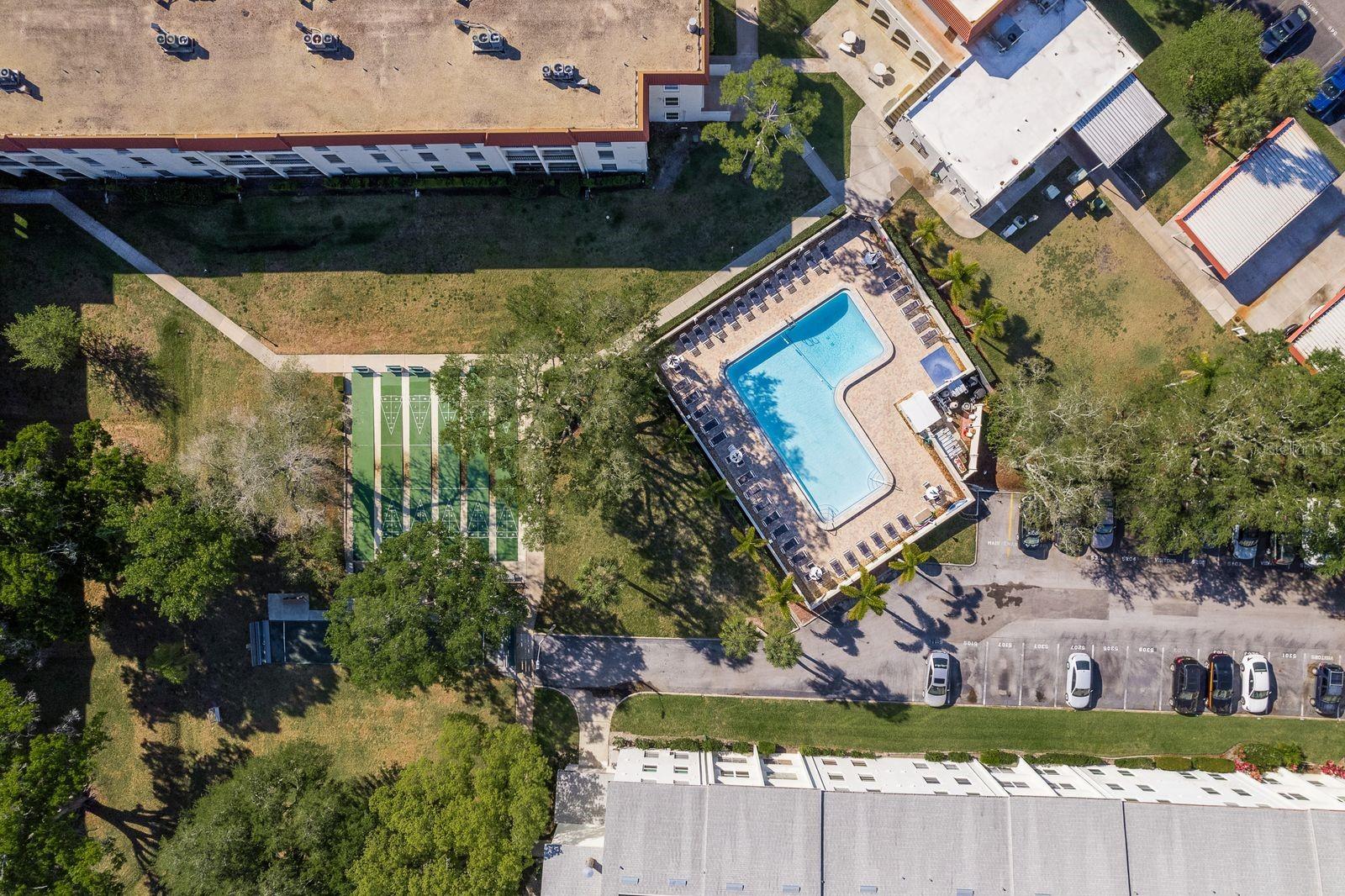 2700 BAYSHORE BLVD #3201, DUNEDIN, FL, 34698