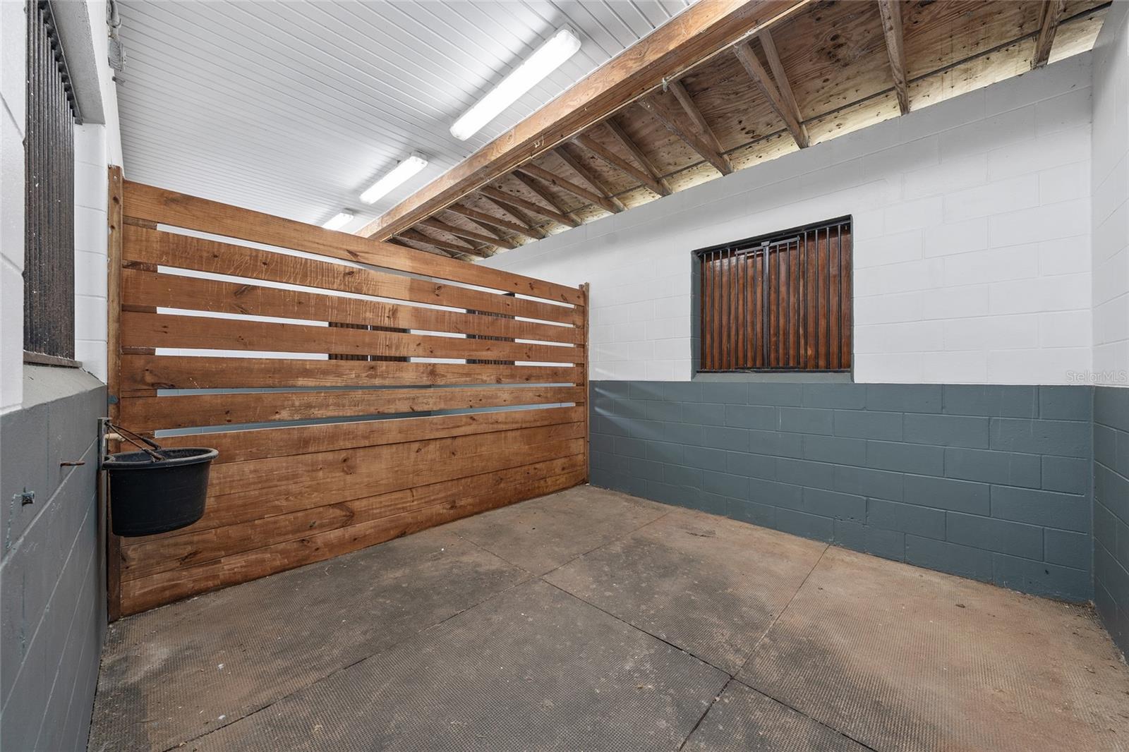 16201 NW 162ND TER, WILLISTON, FL, 32696