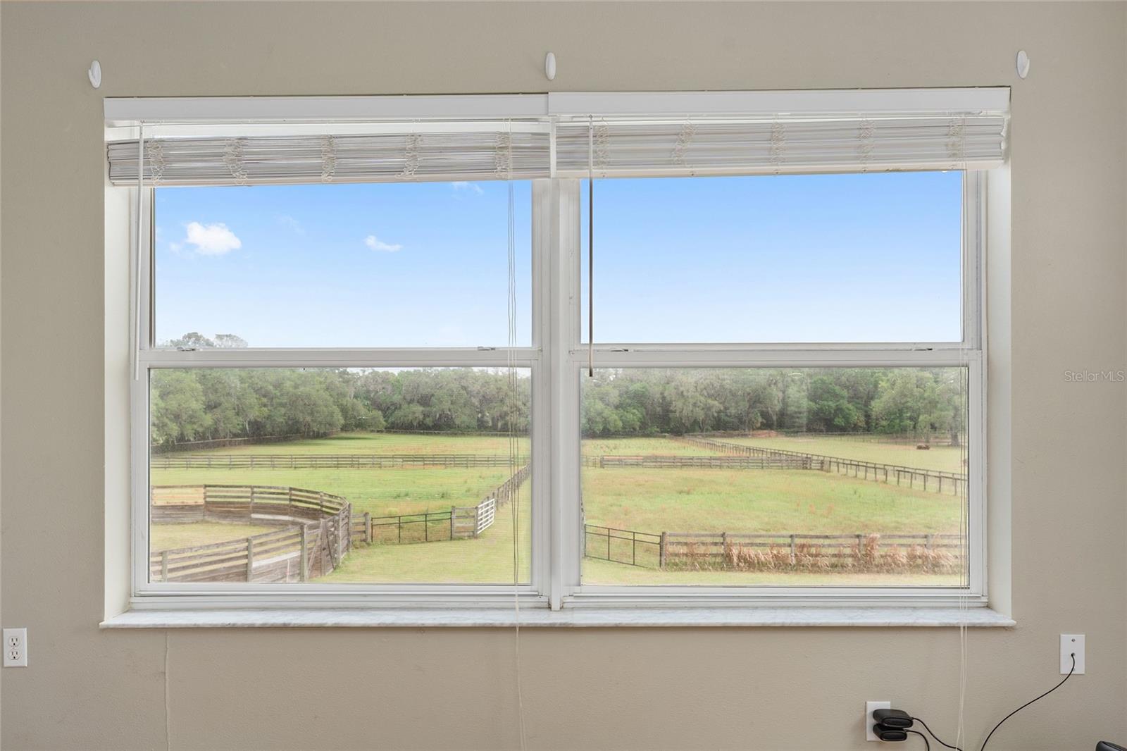 16201 NW 162ND TER, WILLISTON, FL, 32696