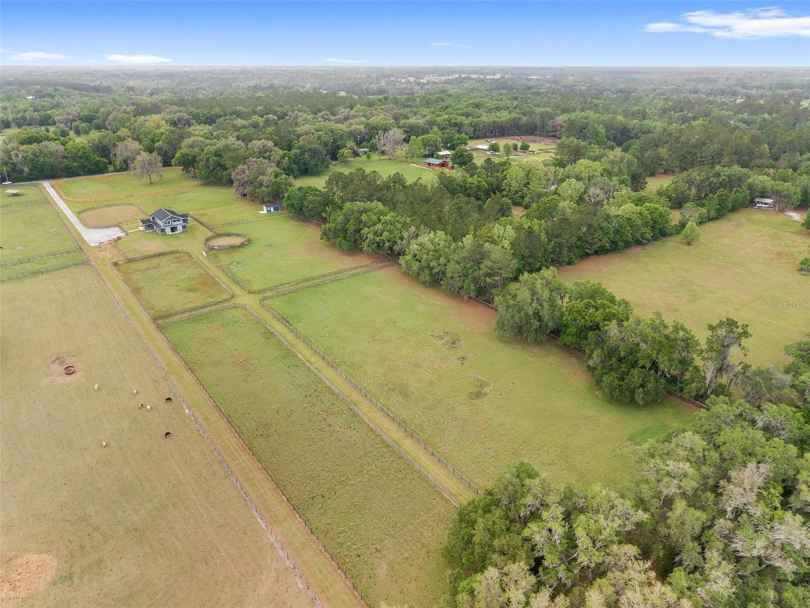 16201 NW 162ND TER, WILLISTON, FL, 32696