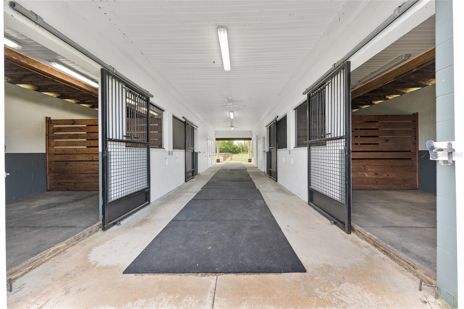 16201 NW 162ND TER, WILLISTON, FL, 32696