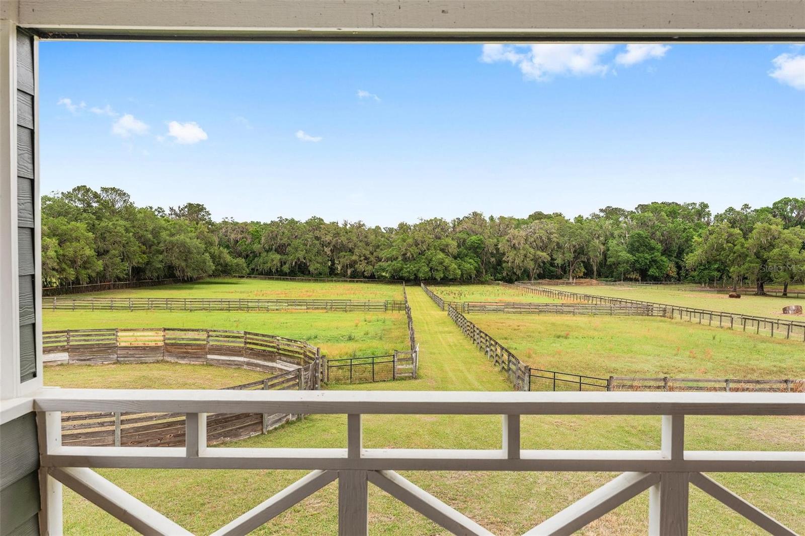 16201 NW 162ND TER, WILLISTON, FL, 32696