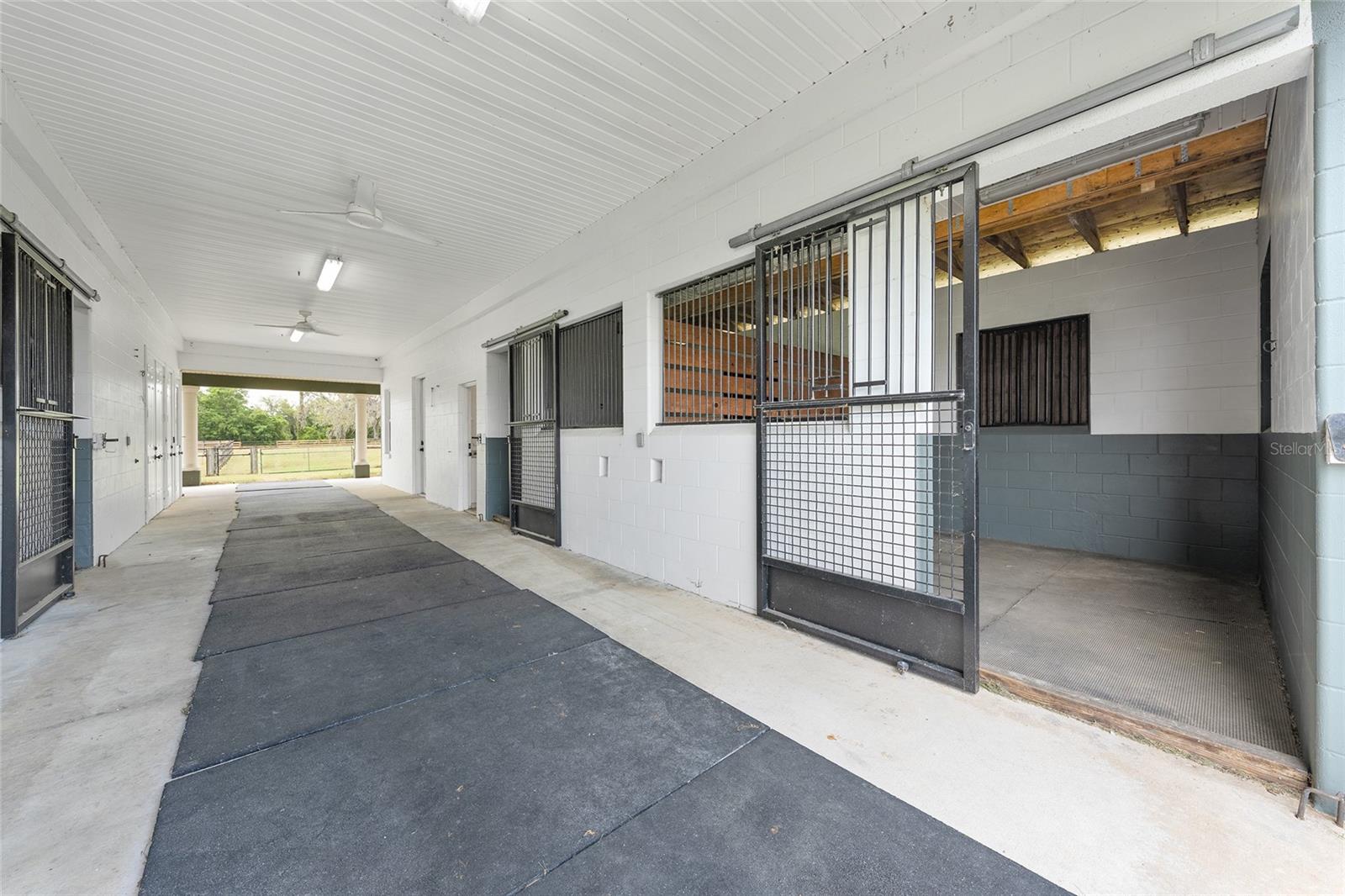 16201 NW 162ND TER, WILLISTON, FL, 32696