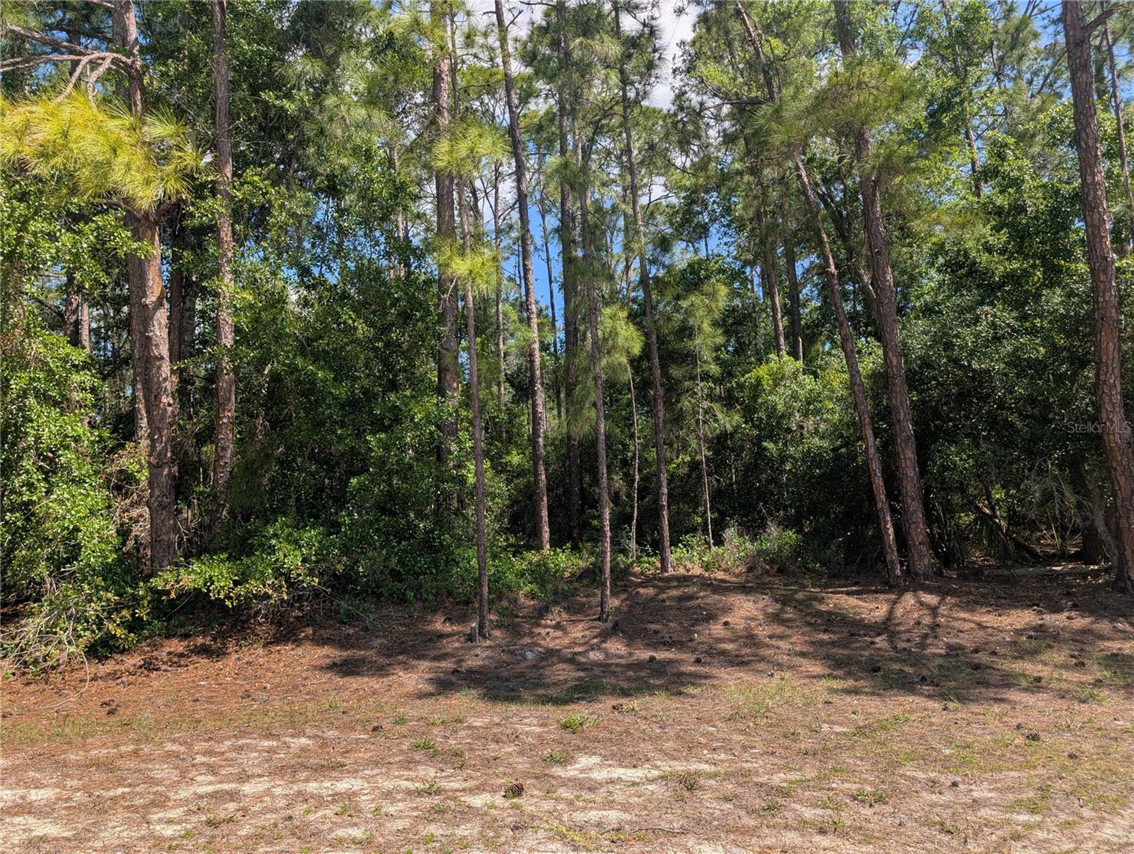 1114 PLUMOSA DR, INDIAN LAKE ESTATES, FL, 33855