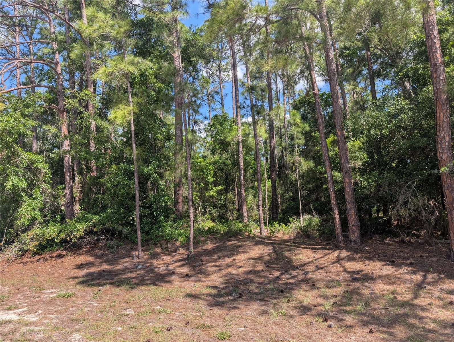 1114 PLUMOSA DR, INDIAN LAKE ESTATES, FL, 33855