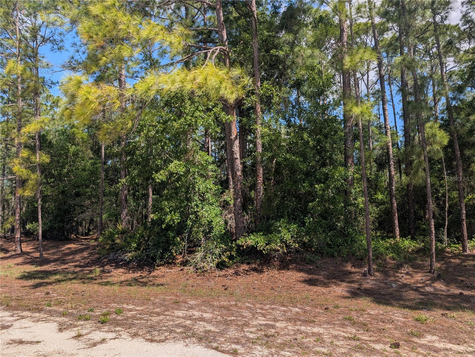 1114 PLUMOSA DR, INDIAN LAKE ESTATES, FL, 33855