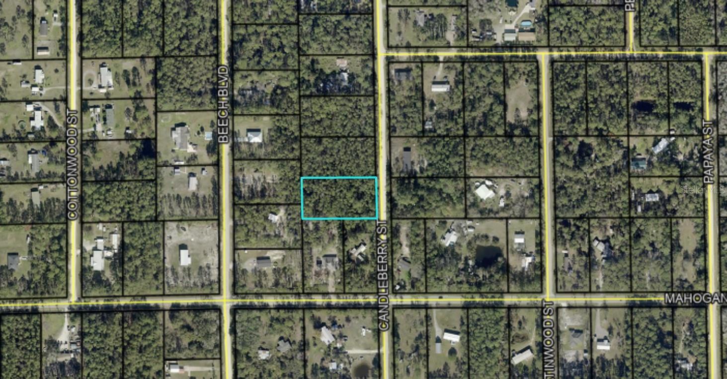 1402 CANDLEBERRY ST, BUNNELL, FL, 32110