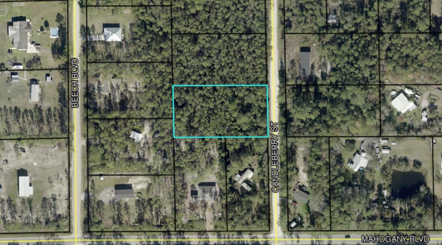 1402 CANDLEBERRY ST, BUNNELL, FL, 32110