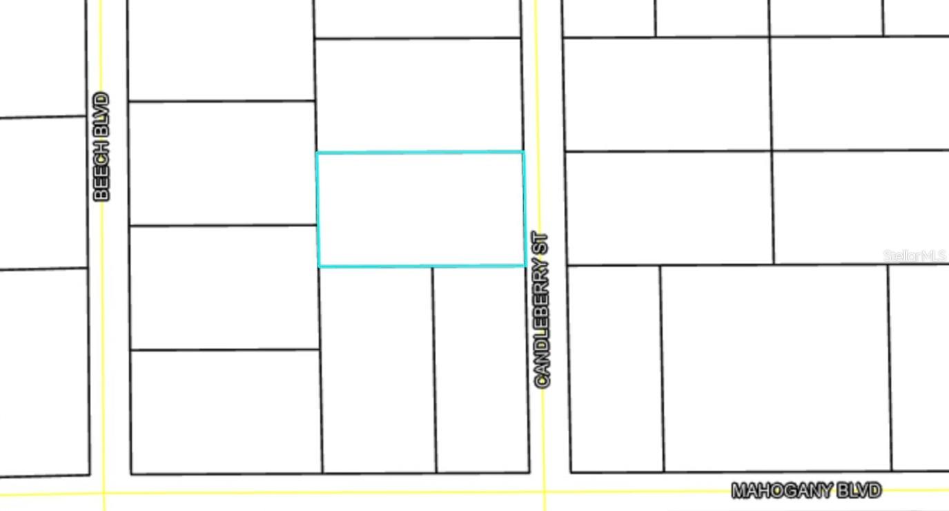 1402 CANDLEBERRY ST, BUNNELL, FL, 32110