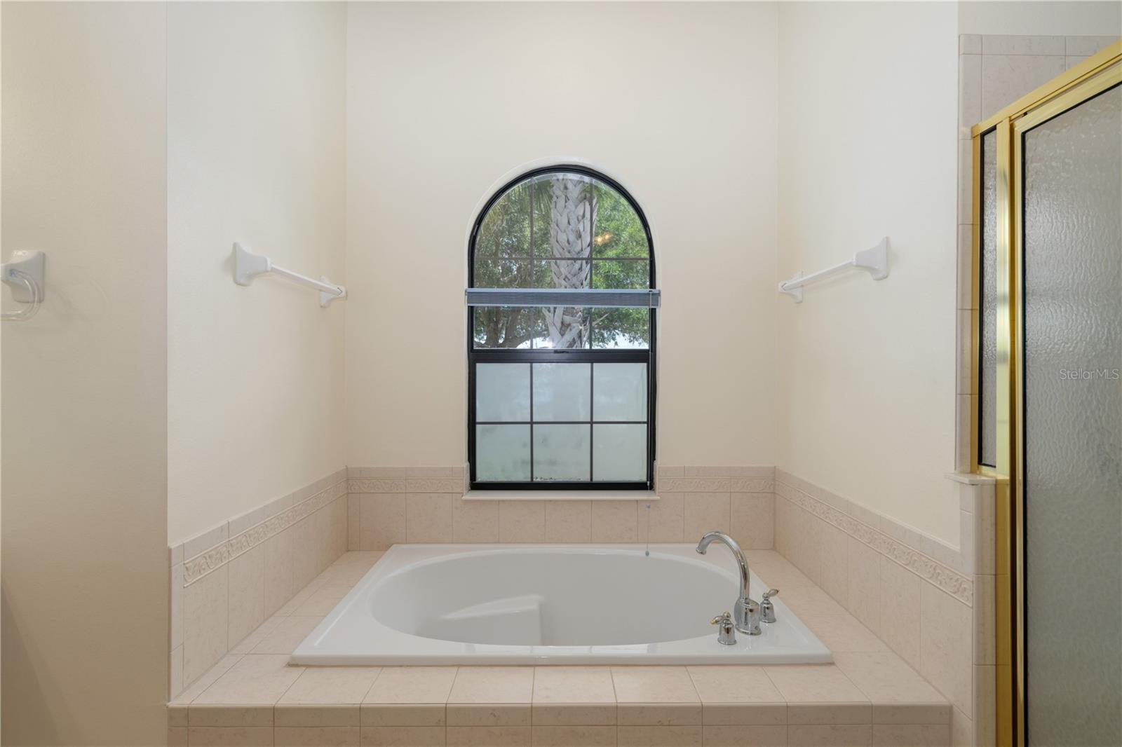 8061 WATERBURY WAY, MOUNT DORA, FL, 32757