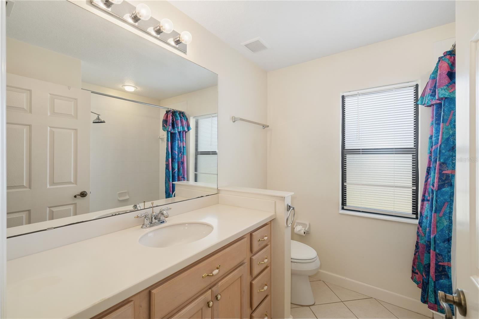 8061 WATERBURY WAY, MOUNT DORA, FL, 32757
