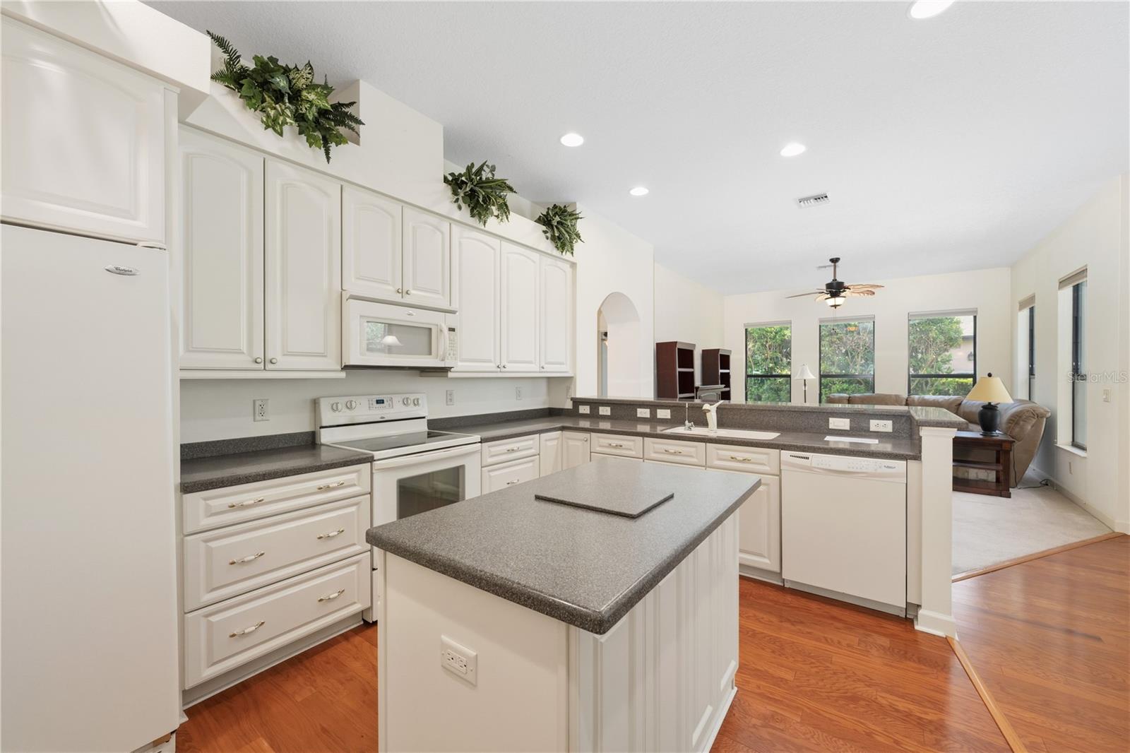 8061 WATERBURY WAY, MOUNT DORA, FL, 32757